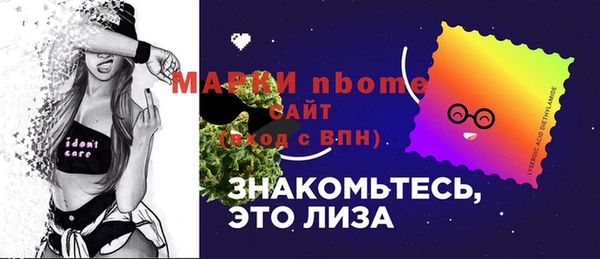 дживик Богородск