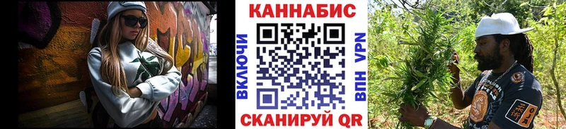 Бошки Шишки планчик  Бородино 